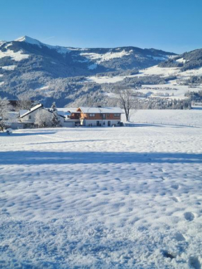 Berg Apartment Barbara Hopfgarten Im Brixental